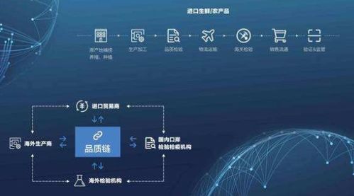 區(qū)塊鏈防偽溯源系統(tǒng)軟件設(shè)計(jì)開發(fā)解決方案
